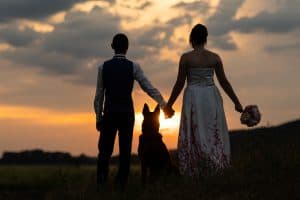 Hochzeitsshooting Sonnenuntergang Hund